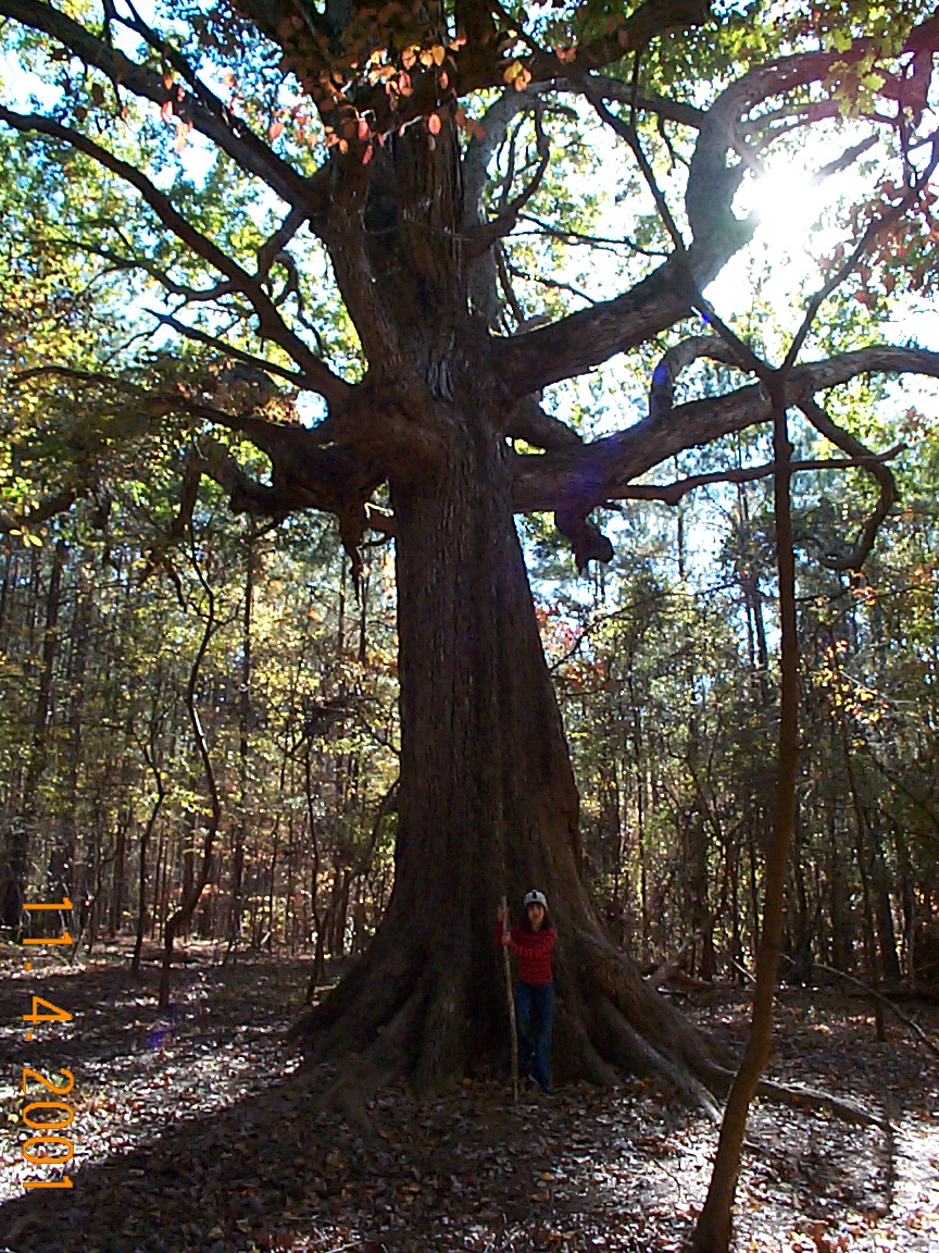 ./2001/Fall Outing/VDCP01184.JPG